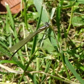 48d668daaf78dc99b656a5a5de15534b