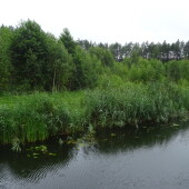 49caac5c1dad04189e2e7407a5e0255d