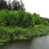 4a9391f88fd7053937b880cec9d17c81