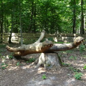 508a232263c507990c63ca6eac444718