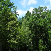 548a35241f12b1e55f57d9a9fc32a04f