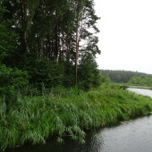 5825eee174baa3ddfdabb583127924c8