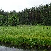 59ca961385059112461d1b3111a4c5f5