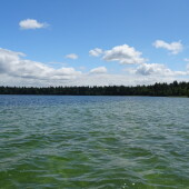 5bd03bc1bb33e10a499351ee977b7d30