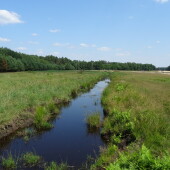 5bd3c70524c1647c572ceadf85325ff5