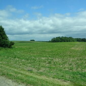 5fc5cbe2d019edaff51ebd4919ab809a