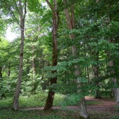 60f00d049db0dcb53e7e7516abd73931