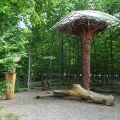 622b5f22dbb1826c9d348232dab123d3