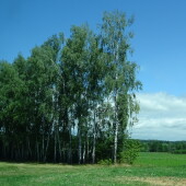 623544372759dd3da78f721cf8af7f9e