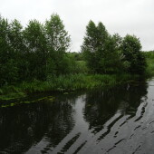 6c6506b663881abcd6f975ebb00ae743