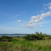 6ccf2cfc54776e6246a7ccf490b8864f