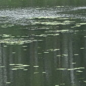 713be4b6207c6f28889046b95fe18af7