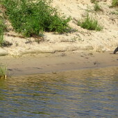 72086f43d080a7208f50c3fae98d3791