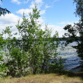 72f6275e48eb7685f9c4289042c28f9a