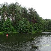 73410ad67fa50babe979de1ae37a4bea