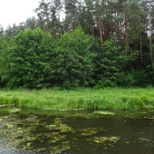 73a5477c68899365a7a8641c6e2fa0a9