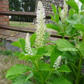 7c85243cbfd7f91a7c3a257fb07b3bb9