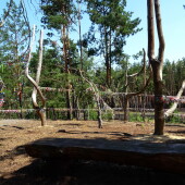 7d98dda2c06aeba0ee081580ebd3261e