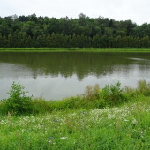 801d7835fce4ad52922f1df0926543bd