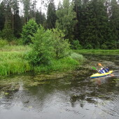 81dc8042043e75216f59301e0682ca13