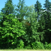 851c3d0346150861662e45869692973e