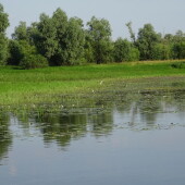 8636e6a5ffc3b2559c137c8104866a70