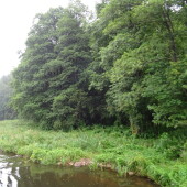 8a4ae2c845a0ddfd7662a4cb65e38abc