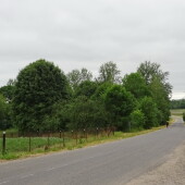 8c41498129195663efdb81a4f03dfc30