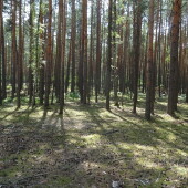 8f435a23093b6085f695821ec02b86a5