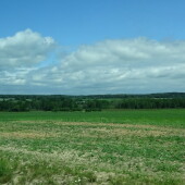 8f84c890379bf4d78e24e0a7bacdc9d9