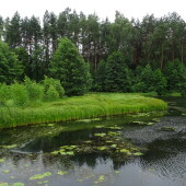 9161891ad2f7efa12b0aed8de0074e6a