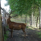 91681591277c171517fef62615fe6c63