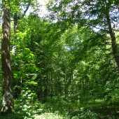 91a3d3ad85455777a4fa50cae10e2bff