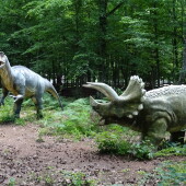 94ab05cb143b78aafd351c02b3d3ce0c