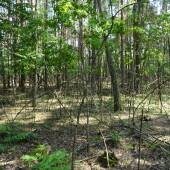 97aa01298553cdef7f71017075a90644