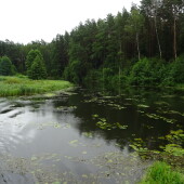 99eb6606a8bc76273d71c8bf81f32738