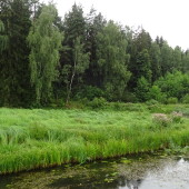 9adf3857f3b077e06cd274625f614749