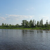 9b54beff013bf2e1a787e859fe5bbf49