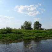 9b95099b036ff710b106bbe8c0eac64c