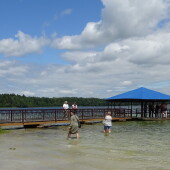 9c6a040cfdb4b727b22d72b6ff7d1209