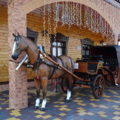 9cd71ef534cbf72a44e2993f18943f41