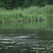 9d365f2e241ed26f52d3fab209efea2b