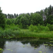 a18565bc478e1f4eae36900daa03a9c2