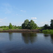 a64b7f1a69880d886330a6f6b68cc8bc