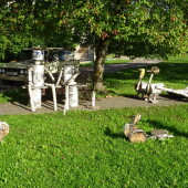 a699676bc5d2f9c665f3beb75ff509a6