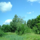 a6e898c3cae48b3c131aa410dba6707b