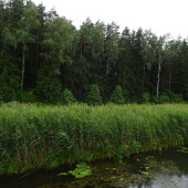 a71dbe500498e4bfaaa18c790fe7fc3c