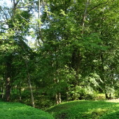 ac060b2c5a181d5f576851c10cd2155e