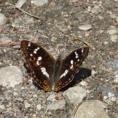 b120791775320f783906115e1de33dbb