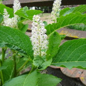 b38e1435c0b26bda8d4e56232e948a5c